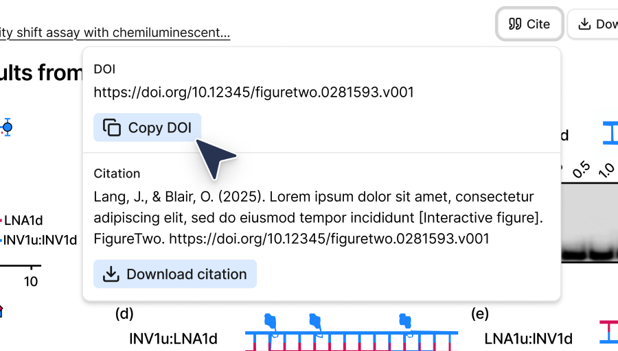 Persistent and citable